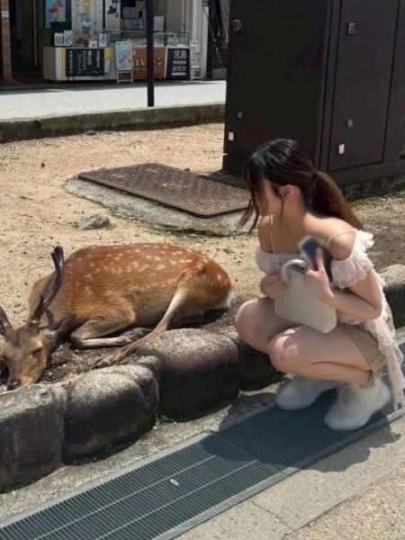 あゆな